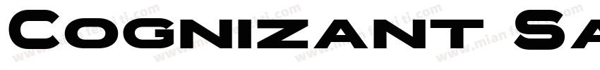 Cognizant Sans Bold字体转换